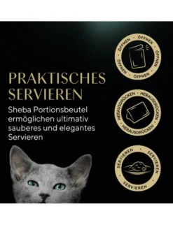 Sheba Kitten in Sauce mit Lachs 85g