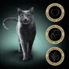 Sheba Selection in Sauce mit Huhn und Rind 85g