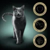 Sheba Selection in Sauce mit Kalb und Truthahn 85g