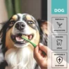 TAMACAN Cannabidiol / CBD Dental Gel für Hunde 50g