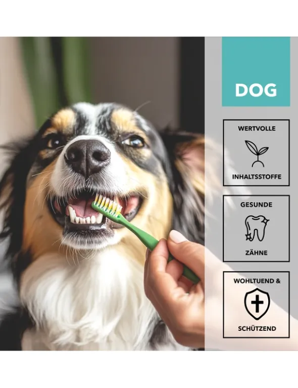 TAMACAN Cannabidiol / CBD Dental Gel für Hunde 50g