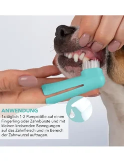 TAMACAN Cannabidiol / CBD Dental Gel für Hunde 50g