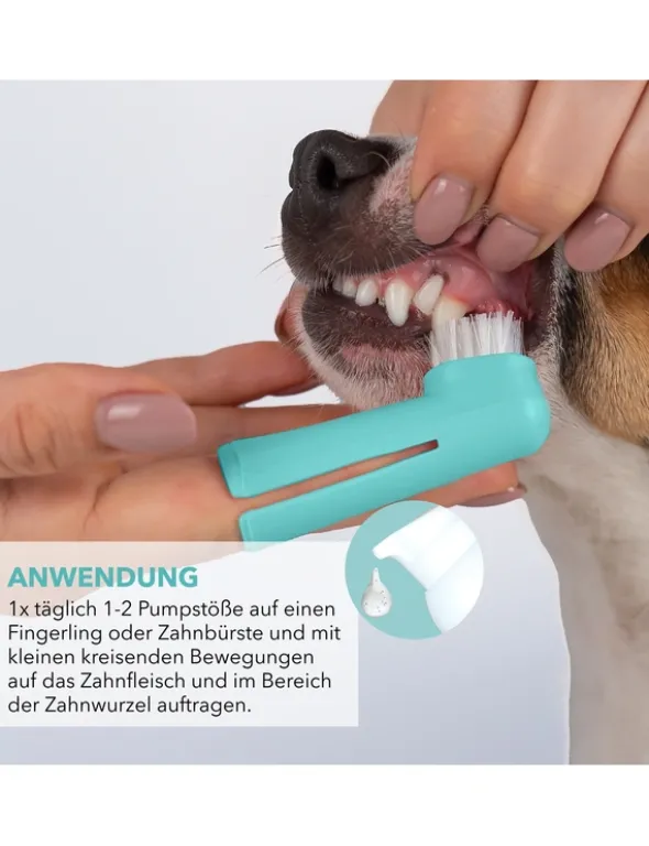 TAMACAN Cannabidiol / CBD Dental Gel für Hunde 50g