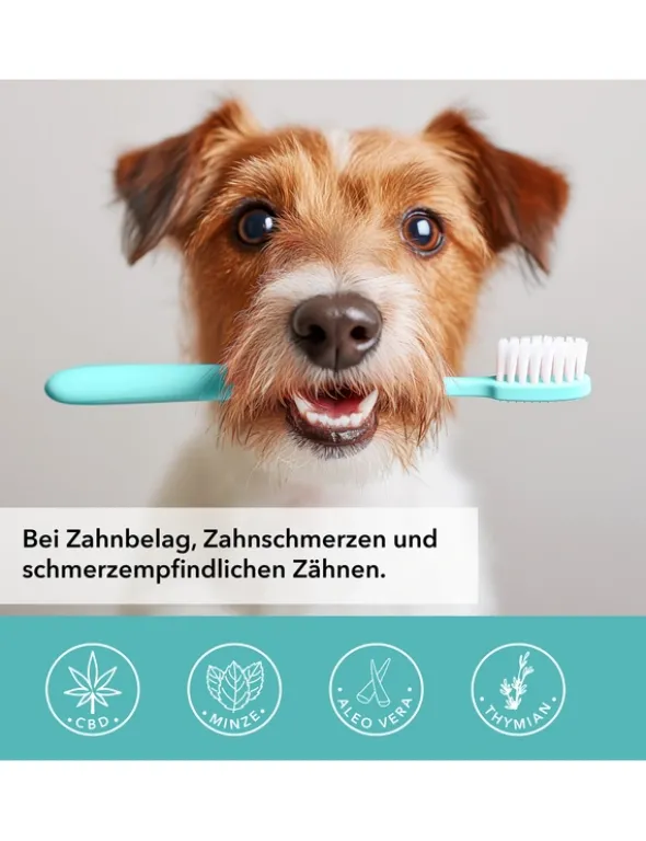 TAMACAN Cannabidiol / CBD Dental Gel für Hunde 50g