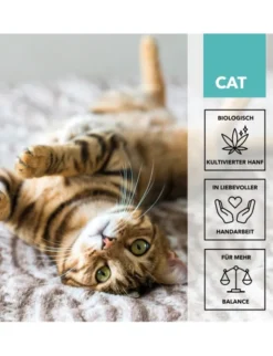 TAMACAN Cannabidiol / CBD Isolat für Katzen 5ml