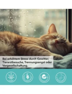 TAMACAN Cannabidiol / CBD Isolat für Katzen 5ml