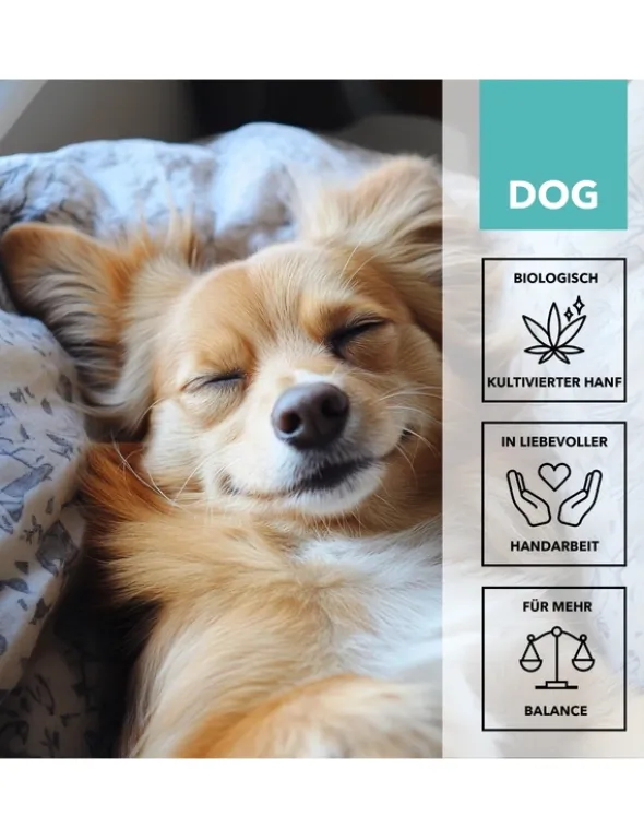 TAMACAN Cannabidiol / CBD Öl für Hunde 5ml