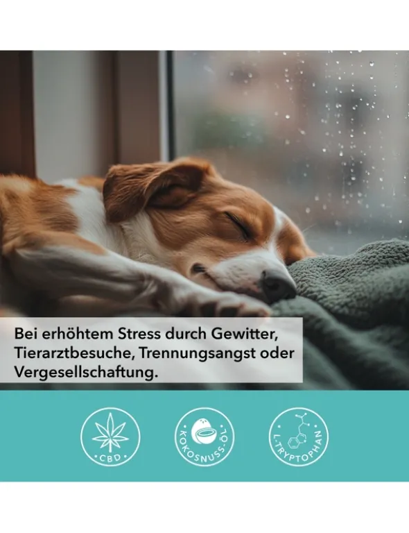 TAMACAN Cannabidiol / CBD Öl für Hunde 5ml