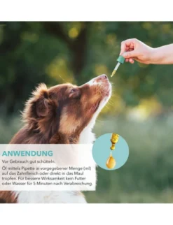 TAMACAN Cannabidiol / CBD Öl für Hunde 5ml
