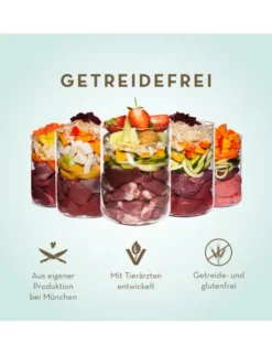 Terra Canis getreidefrei Pute mit Sellerie, Kürbis & Brunnenkresse 400g