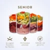 Terra Canis Senior Pute mit Papayas, Broccoli & Gesundheitskräutern 400g