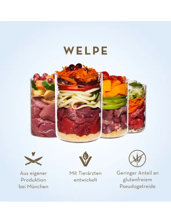 Terra Canis Welpe Huhn mit Kürbis, Kamille & Tomate 200g