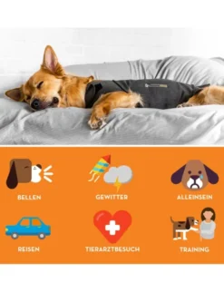 ThunderShirt Beruhigungsweste