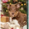 TRIXIE Adventskalender für Hunde 412g