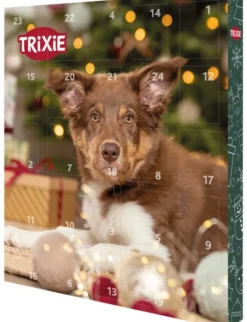 TRIXIE Adventskalender für Hunde 412g