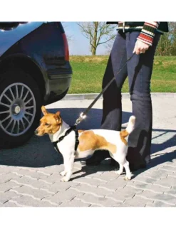 TRIXIE Auto-Geschirr schwarz 20-50cm