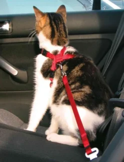 TRIXIE Auto-Katzengeschirr rot 20-50 cm