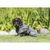 TRIXIE Bademantel für Hunde grau XS