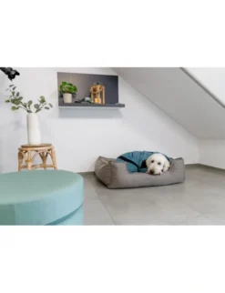 TRIXIE Bade- und Hausoverall für Hunde petrol XS