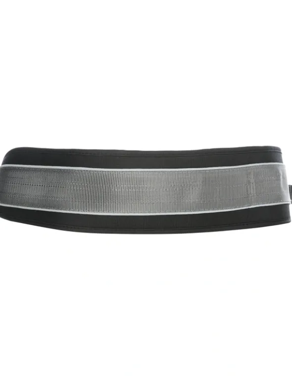 TRIXIE Bauchgurt mit Leine graphit, schwarz M-L