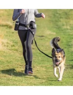 TRIXIE Bauchgurt mit Leine und Taschen schwarz