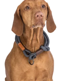 TRIXIE BE NORDIC Zug-Stopp-Halsband braun, dunkelgrau 30 cm/6 mm