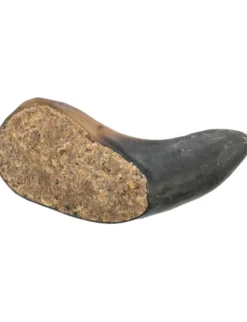 TRIXIE Büffelhorn gefüllt 180g