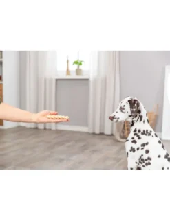 TRIXIE Büffelkopfhaut 200g