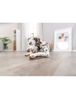 TRIXIE Büffelkopfhaut 200g