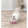TRIXIE Cat Activity Hide n Sniff Bowl grau