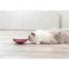 TRIXIE Cat Activity Rocking Maze grau