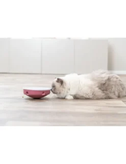 TRIXIE Cat Activity Rocking Maze grau