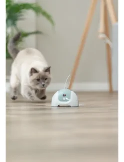 TRIXIE Catche me mit Fernbedienung grau, salbei