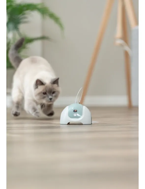 TRIXIE Catche me mit Fernbedienung grau, salbei