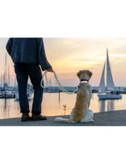 TRIXIE Cavo Reflect V-Leine schwarz 2 m/Ø 12 mm