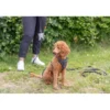 TRIXIE CityStyle Beutelspender hellgrau