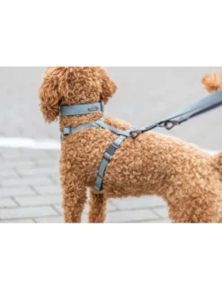 TRIXIE CityStyle Hundegeschirr Baumwolle salbei 30-44 cm