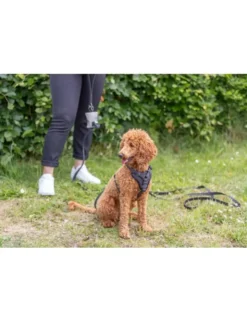 TRIXIE CityStyle Hundegeschirr Baumwolle schwarz 42-60 cm
