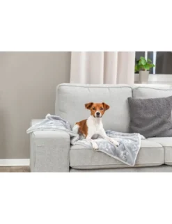 TRIXIE Decke Jimmy Soft hellgrau 100 x 70 cm