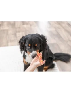 TRIXIE Denta Fun Barbecue Roll 45g