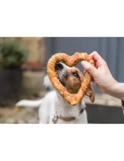 TRIXIE Denta Fun Heart mit Huhn 70g