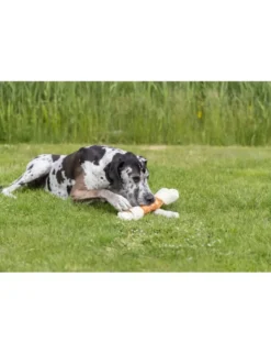 TRIXIE Denta Fun Mega Chewing Bone 500g