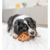TRIXIE Denta Fun Pretzel 40g