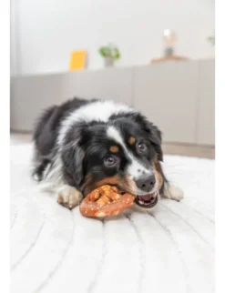 TRIXIE Denta Fun Pretzel 40g