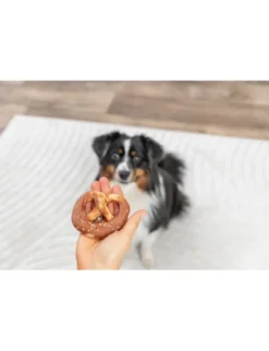 TRIXIE Denta Fun Pretzel 40g