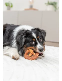 TRIXIE Denta Fun Pretzel 40g