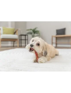 TRIXIE Denta Fun Roll gefüllt 150g
