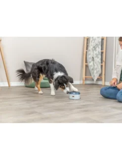 TRIXIE Dog Activity Buzzer grau Ø14x9,5 cm