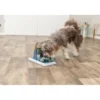 TRIXIE Dog Activity Poker Box Vario 2 grau 32x17 cm