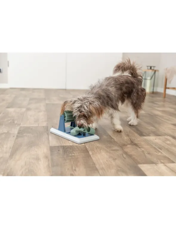 TRIXIE Dog Activity Poker Box Vario 2 grau 32x17 cm